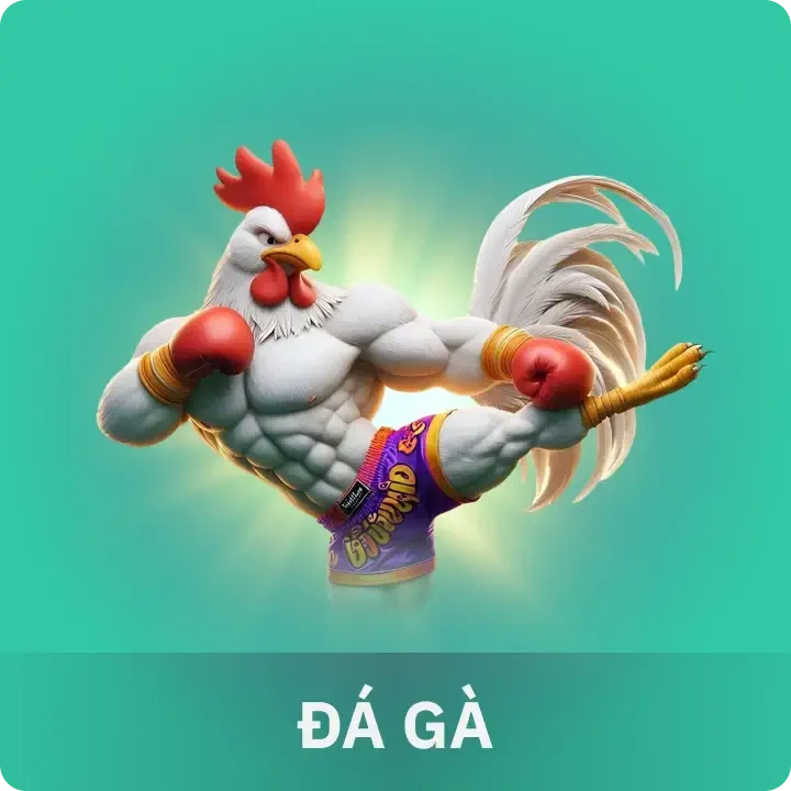 đá gà