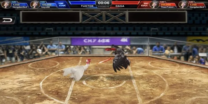 Lý do thần kê tại BBet được yêu thích