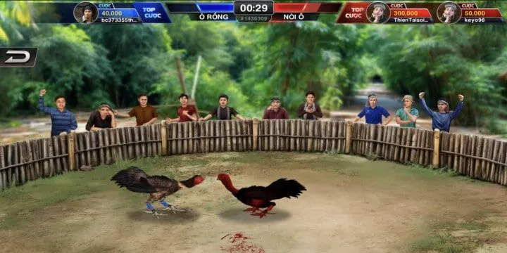 Tổng quan sảnh đá gà Thần kê tại BBet