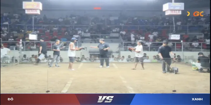 Chọi gà truyền thống cùng Kê vương BBET